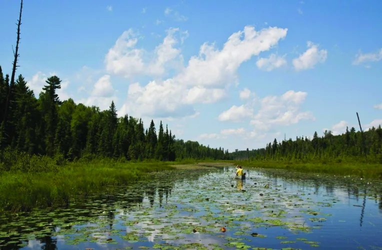Walz signs order to slow down any mining efforts in Boundary Waters wilderness